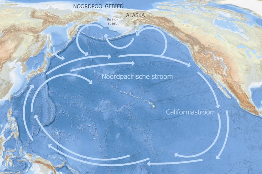 Pacifische stromingen