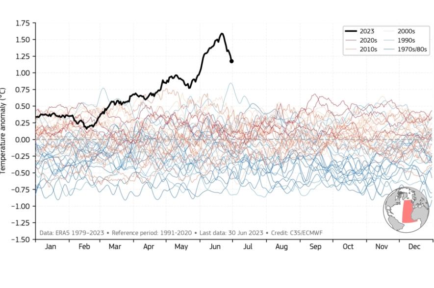 Afwijking dagelijkse zeewateroppervlaktetemperatuur 