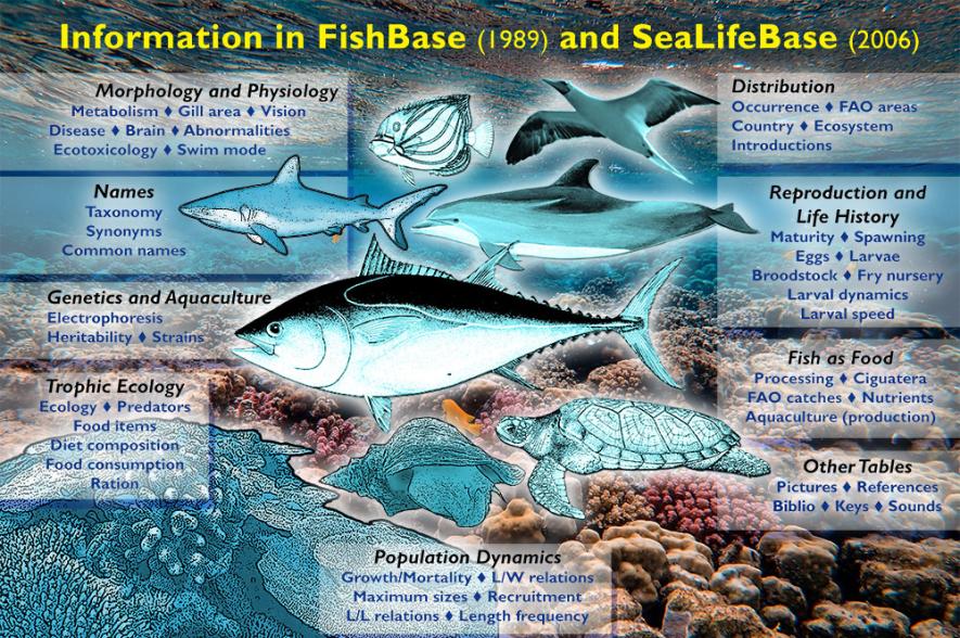 FishBase SeaLifeBase content 2006