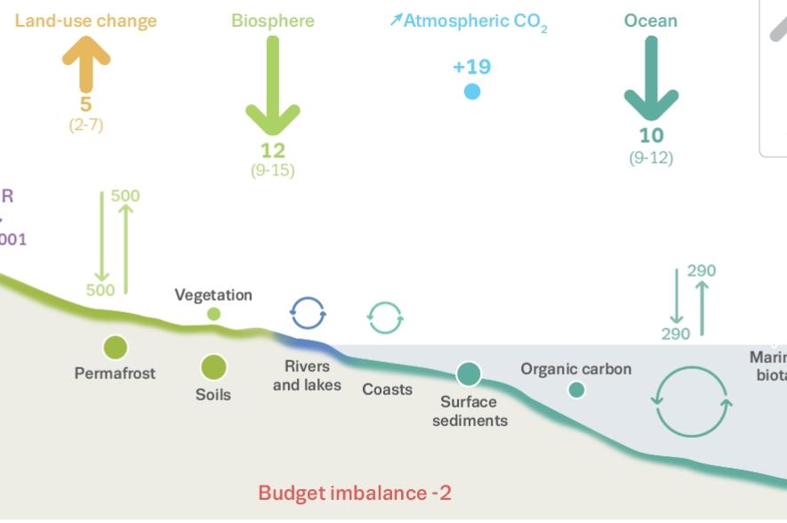 Global Carbon Budget - infografiek