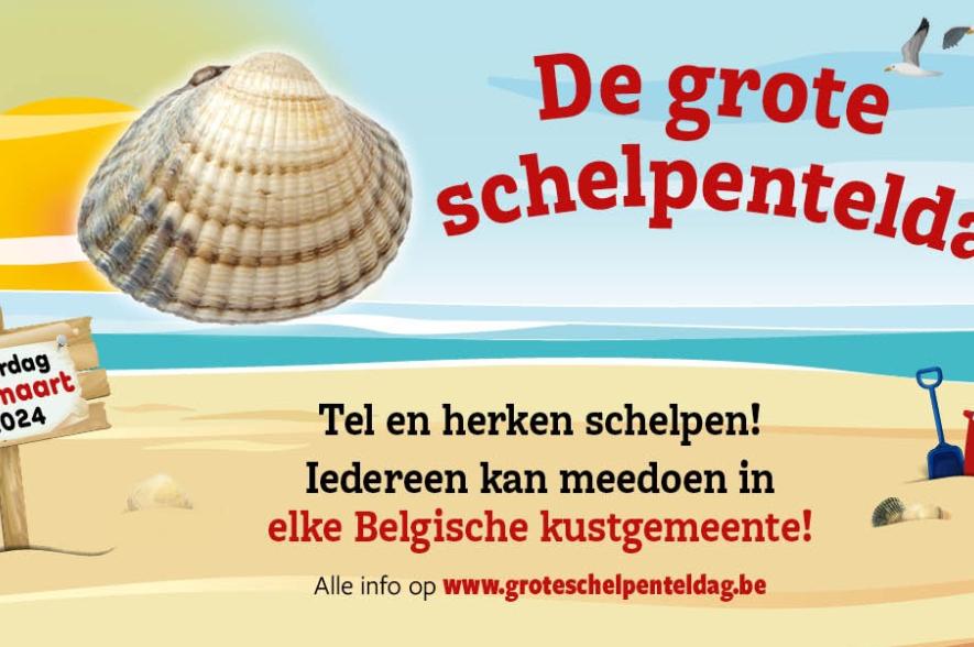 De Grote Schelpenteldag 2024