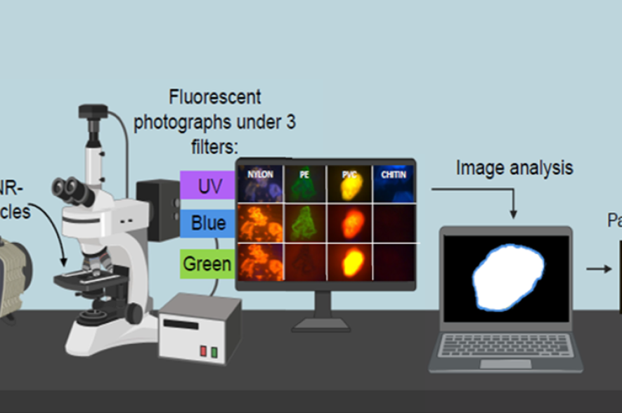 methode Nelle Meyers