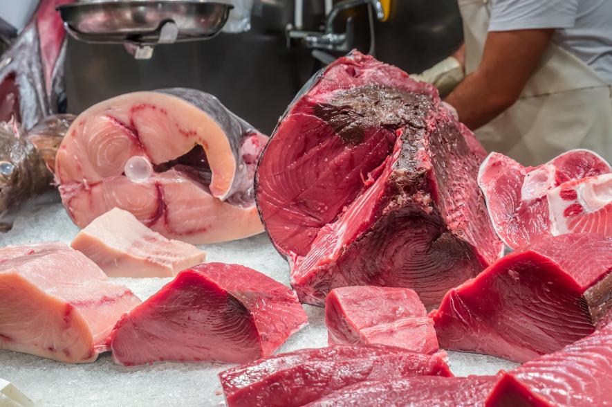 Tonijn op de vismarkt in Murci, Spanje