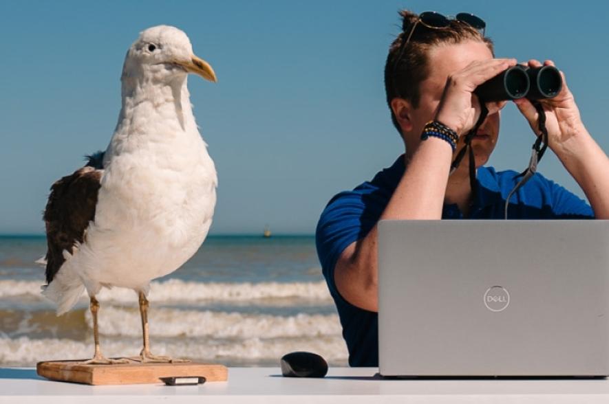 LifeWatch Belgium monitort biodiversiteit in Noordzee