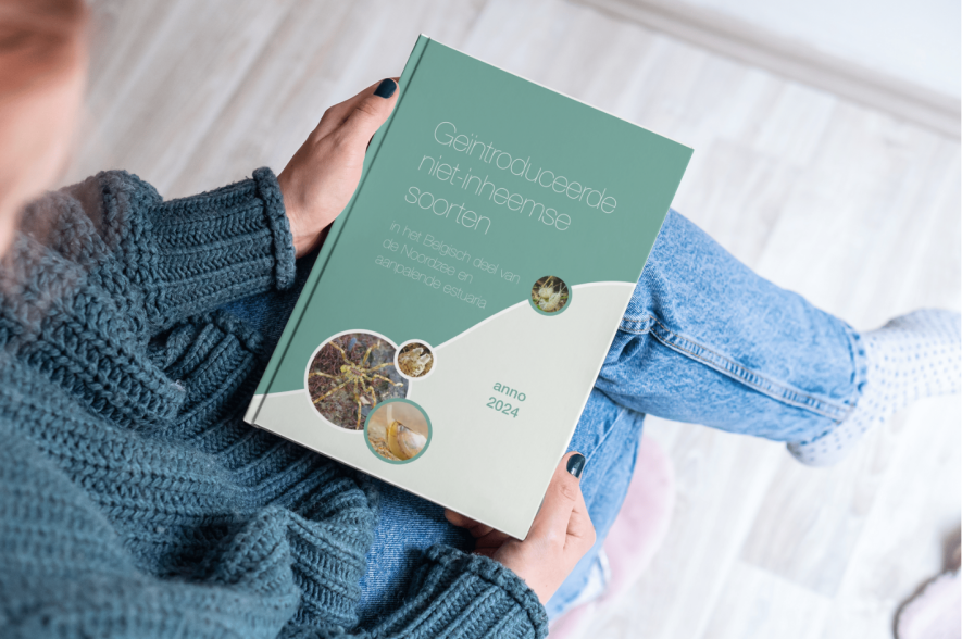 Het boek 'Geïntroduceerde niet-inheemse soorten in het Belgisch deel van de Noordzee en aanpalende estuaria anno 2024'