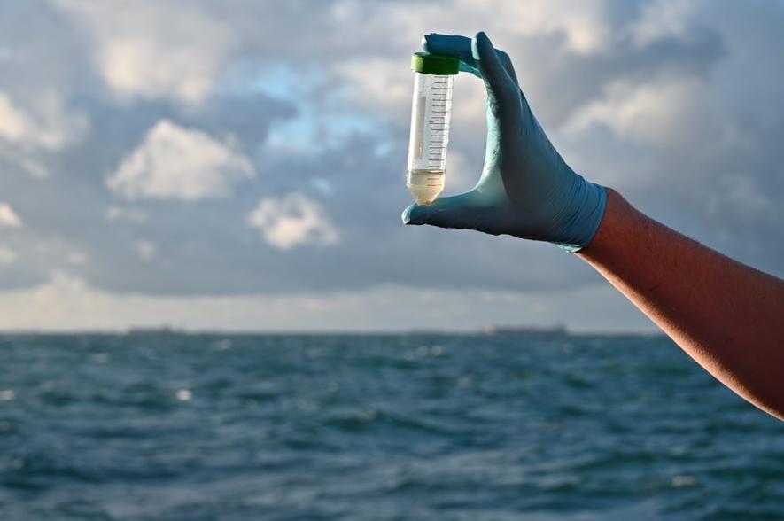 planktononderzoek Michiel Perneel 