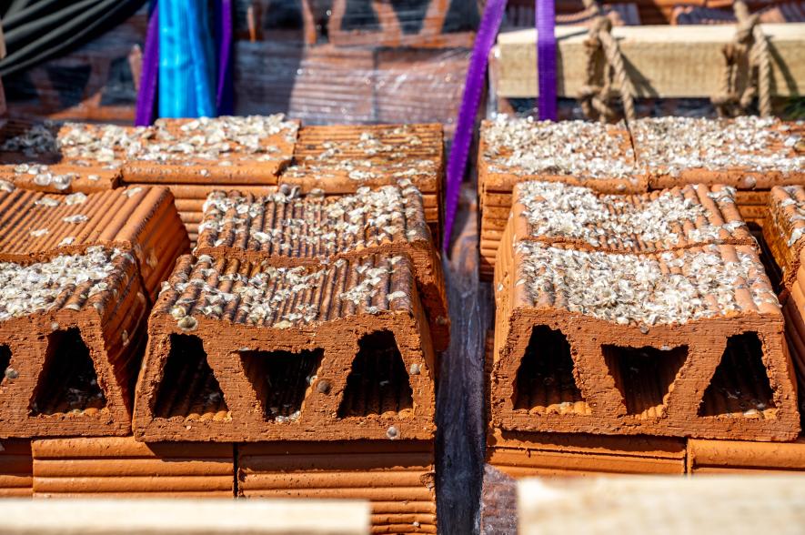 jonge oesters op blokken artificeel rifsubstraat