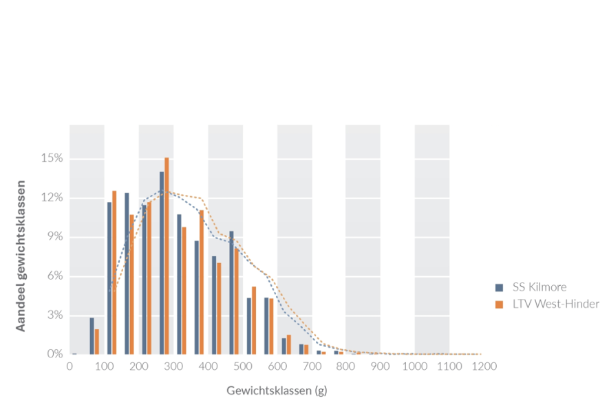 inventarisatie vislood BNZ: relatieve aandeel van gewichtsklassen