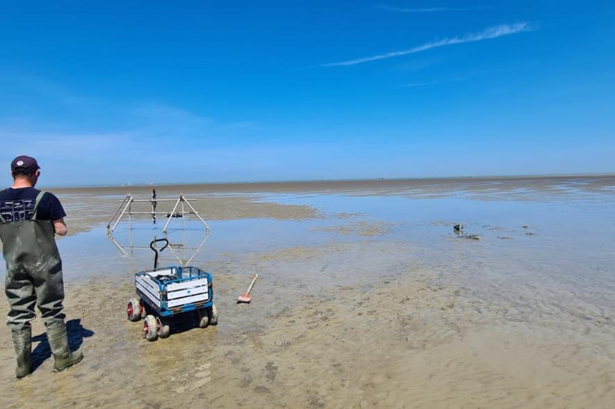 Experimentele opstelling in de Baai van Heist