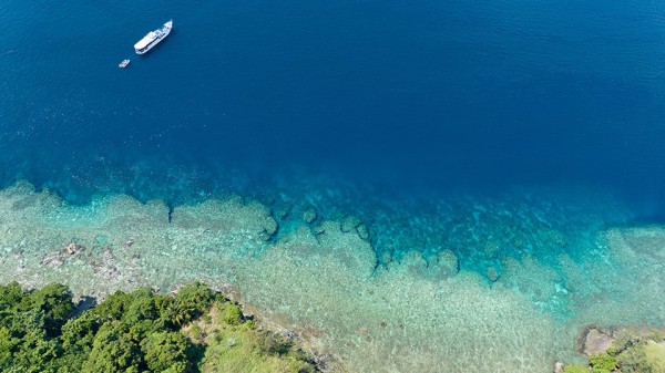 Flanders Marine Institute officially endorsed as a UN Ocean Decade Partner